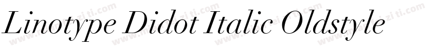 Linotype Didot Italic Oldstyle Figu字体转换